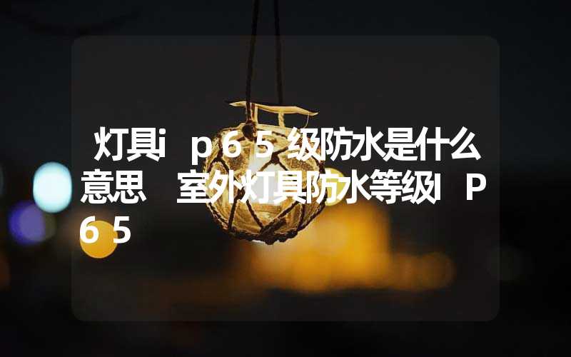 灯具ip65级防水是什么意思 室外灯具防水等级IP65