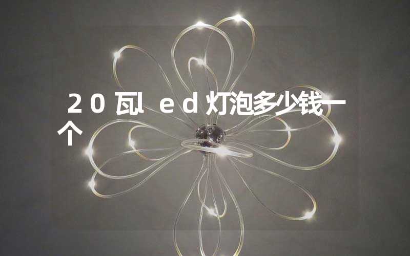 20瓦led灯泡多少钱一个