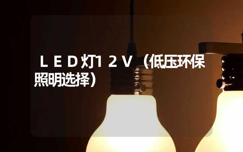 LED灯12V（低压环保照明选择）