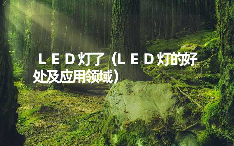 LED灯了（LED灯的好处及应用领域）