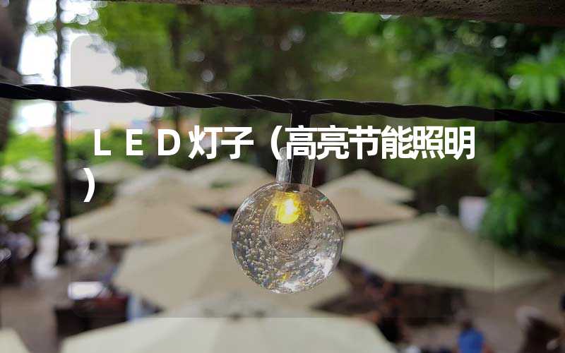 LED灯子（高亮节能照明）