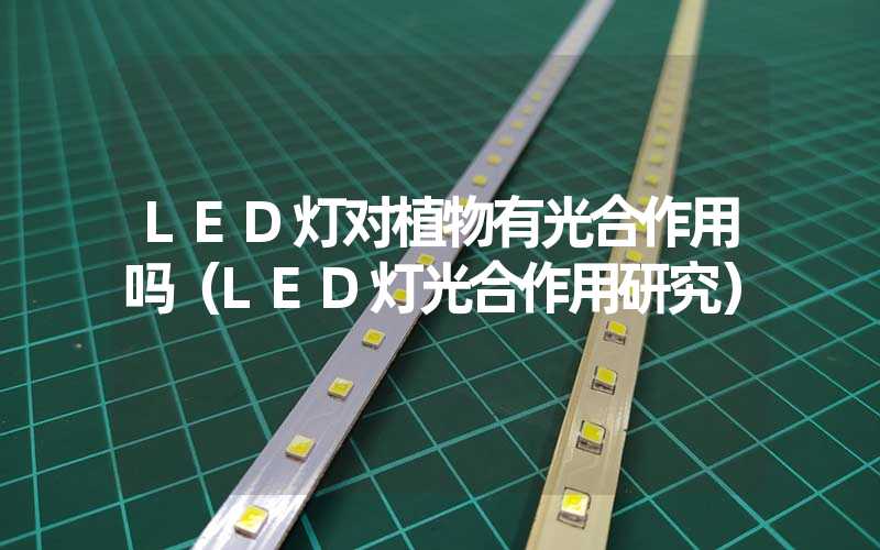 LED灯对植物有光合作用吗（LED灯光合作用研究）