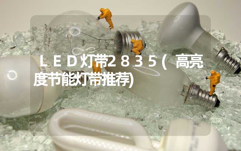 LED灯带2835(高亮度节能灯带推荐)