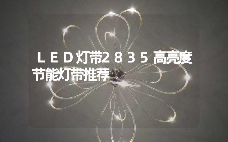 LED灯带2835高亮度节能灯带推荐