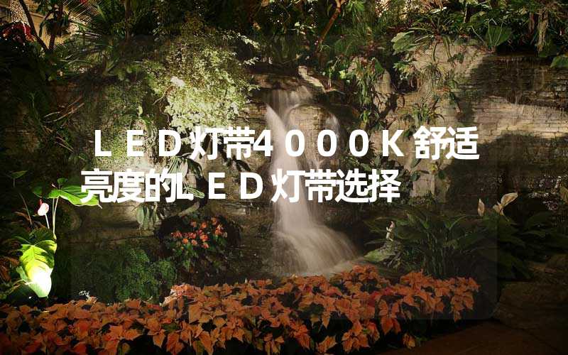 LED灯带4000K舒适亮度的LED灯带选择