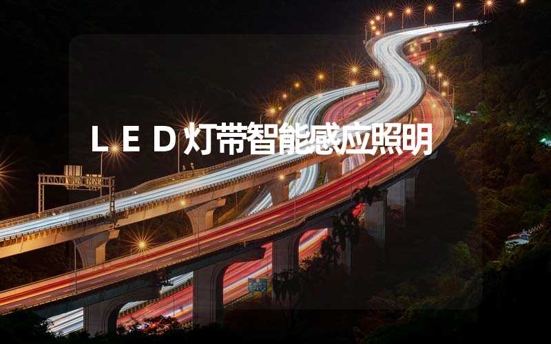 LED灯带智能感应照明