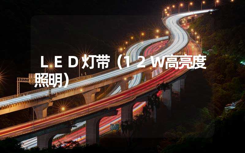 LED灯带（12W高亮度照明）