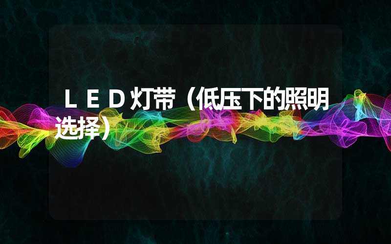 LED灯带（低压下的照明选择）