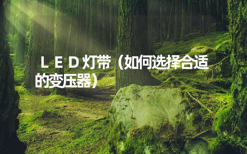 LED灯带（如何选择合适的变压器）