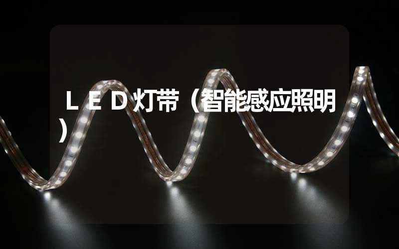 LED灯带（智能感应照明）