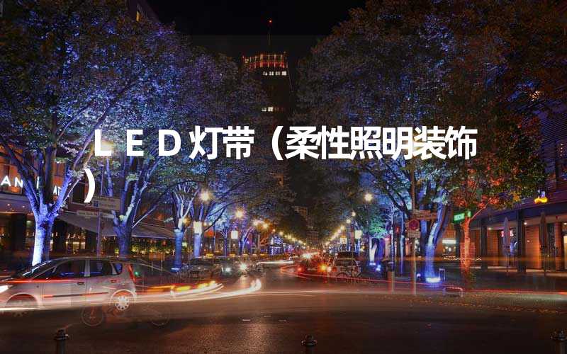 LED灯带（柔性照明装饰）