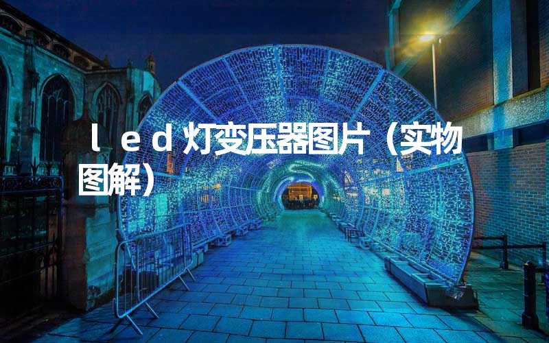 led灯变压器图片（实物图解）