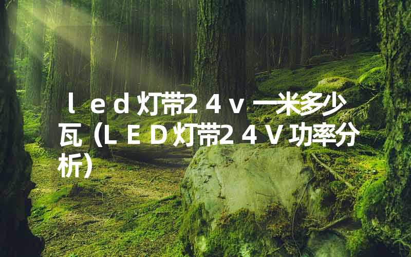 led灯带24v一米多少瓦（LED灯带24V功率分析）