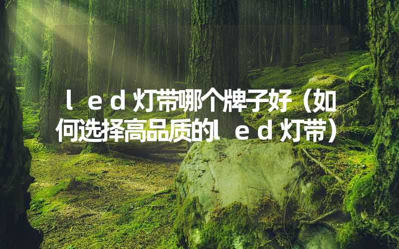 led灯带哪个牌子好（如何选择高品质的led灯带）