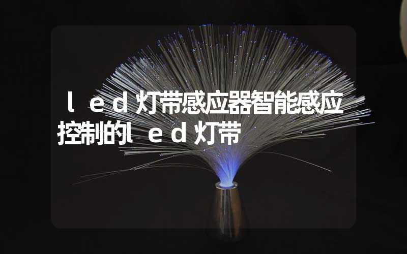 led灯带感应器智能感应控制的led灯带