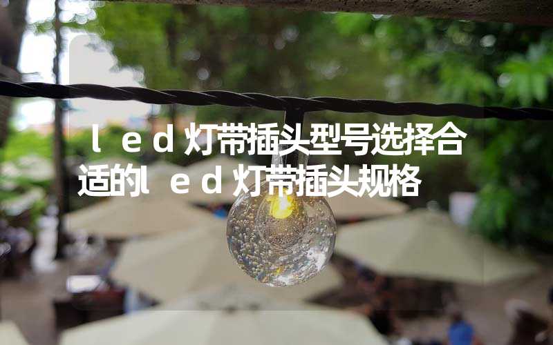 led灯带插头型号选择合适的led灯带插头规格