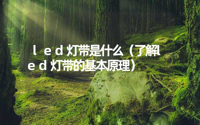 led灯带是什么（了解led灯带的基本原理）