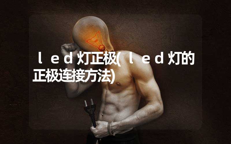 led灯正极(led灯的正极连接方法)