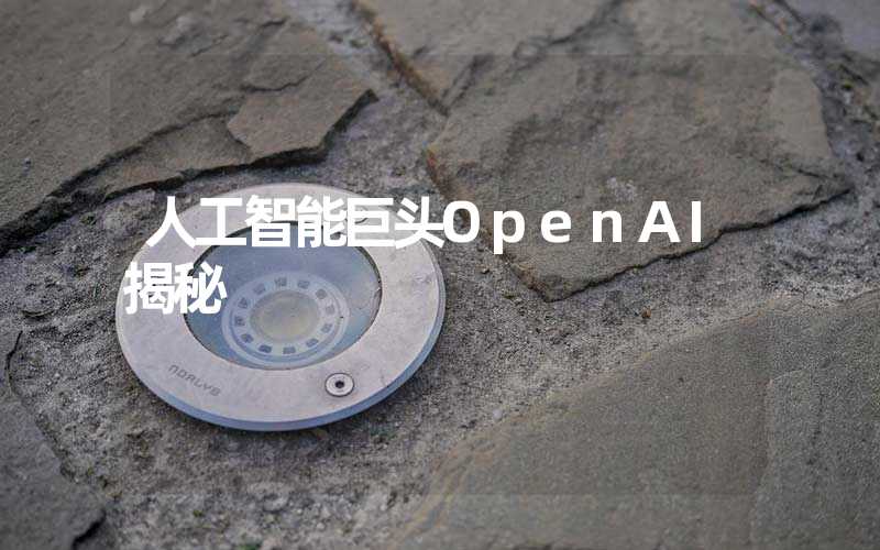 人工智能巨头OpenAI揭秘